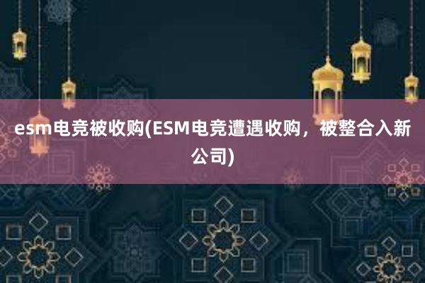 esm电竞被收购(ESM电竞遭遇收购，被整合入新公司)