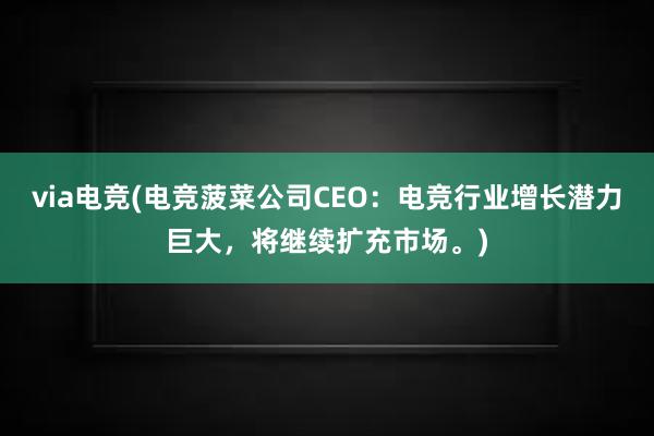 via电竞(电竞菠菜公司CEO：电竞行业增长潜力巨大，将继续扩充市场。)