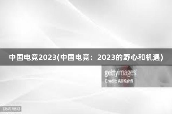 中国电竞2023(中国电竞：2023的野心和机遇)