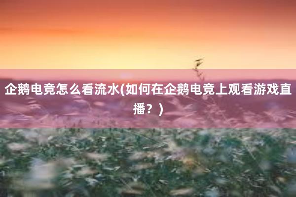 企鹅电竞怎么看流水(如何在企鹅电竞上观看游戏直播？)