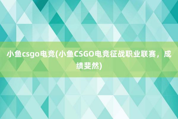 小鱼csgo电竞(小鱼CSGO电竞征战职业联赛，成绩斐然)