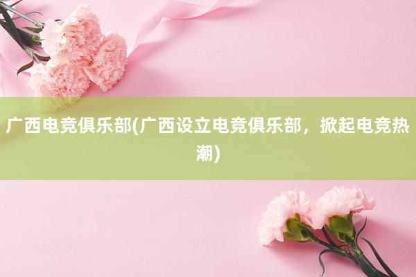 广西电竞俱乐部(广西设立电竞俱乐部，掀起电竞热潮)