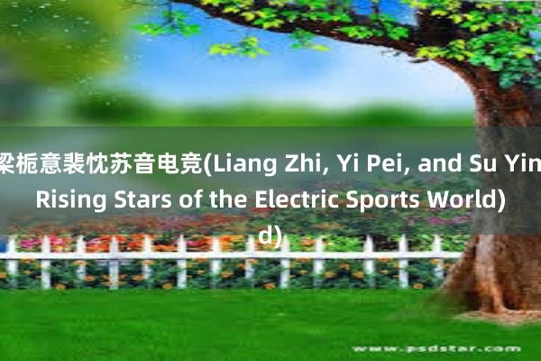 梁栀意裴忱苏音电竞(Liang Zhi， Yi Pei， and Su Yin Rising Stars of the Electric Sports World)