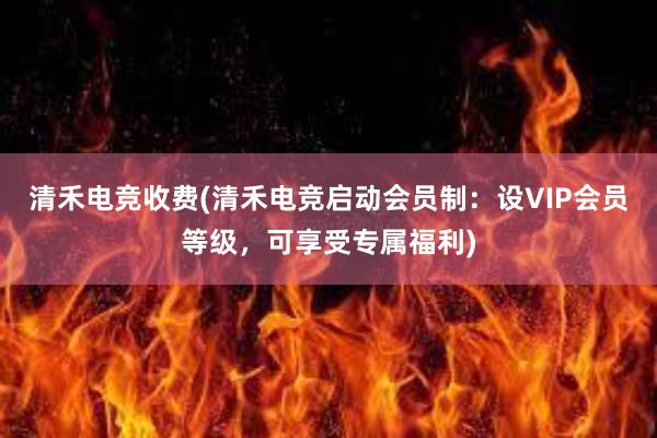 清禾电竞收费(清禾电竞启动会员制：设VIP会员等级，可享受专属福利)