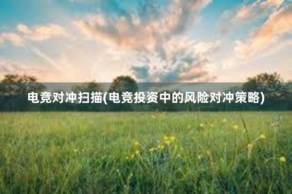 电竞对冲扫描(电竞投资中的风险对冲策略)