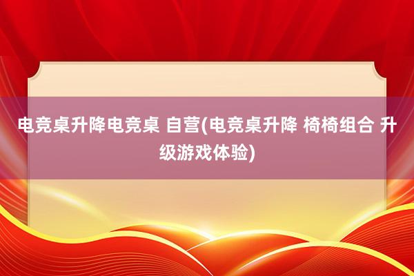 电竞桌升降电竞桌 自营(电竞桌升降 椅椅组合 升级游戏体验)