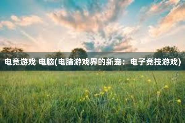 电竞游戏 电脑(电脑游戏界的新宠：电子竞技游戏)