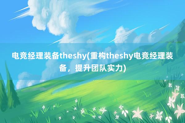 电竞经理装备theshy(重构theshy电竞经理装备，提升团队实力)