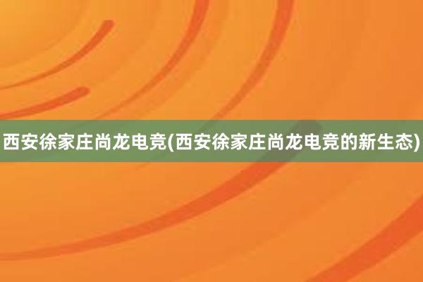 西安徐家庄尚龙电竞(西安徐家庄尚龙电竞的新生态)