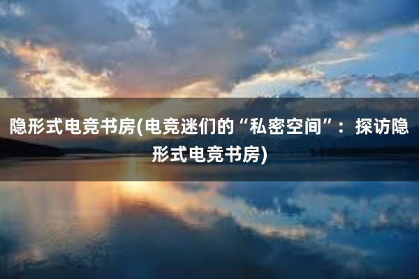 隐形式电竞书房(电竞迷们的“私密空间”：探访隐形式电竞书房)