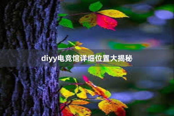 diyy电竞馆详细位置大揭秘