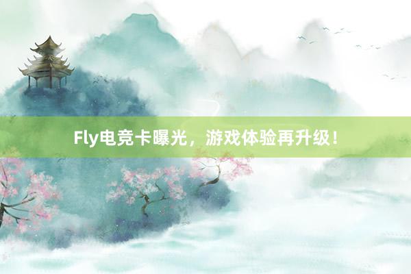 Fly电竞卡曝光，游戏体验再升级！