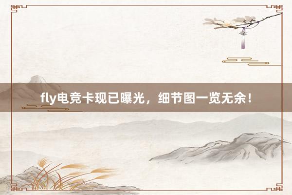 fly电竞卡现已曝光，细节图一览无余！