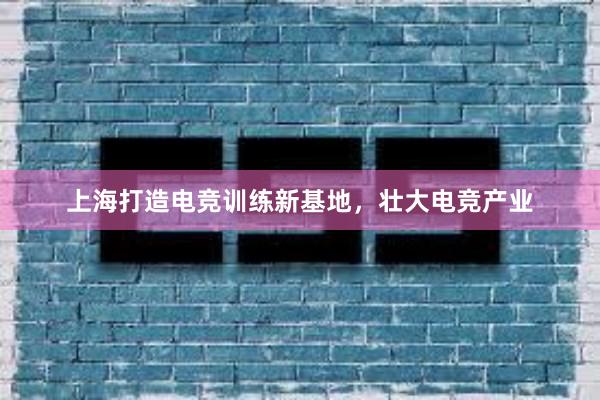 上海打造电竞训练新基地，壮大电竞产业