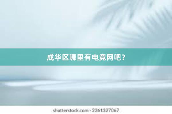 成华区哪里有电竞网吧？