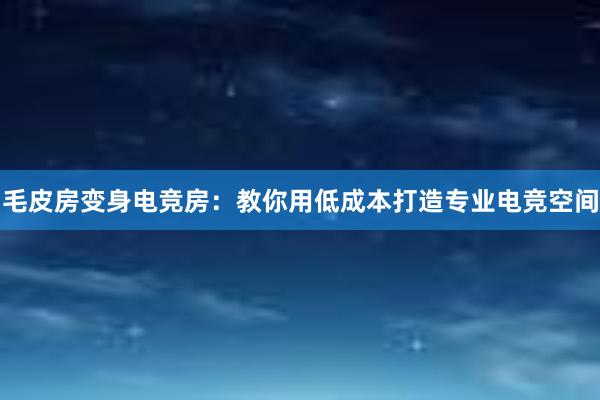 毛皮房变身电竞房：教你用低成本打造专业电竞空间