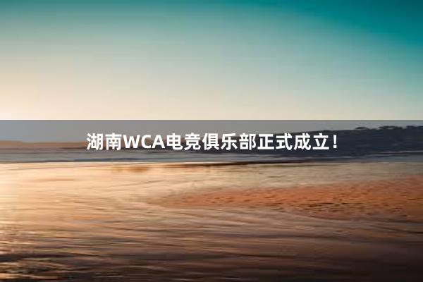 湖南WCA电竞俱乐部正式成立！