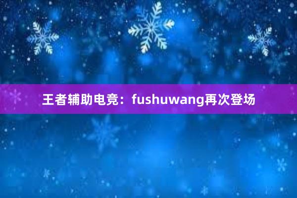 王者辅助电竞：fushuwang再次登场