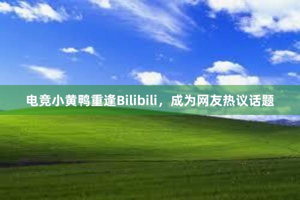 电竞小黄鸭重逢Bilibili，成为网友热议话题