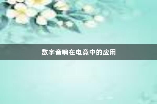 数字音响在电竞中的应用