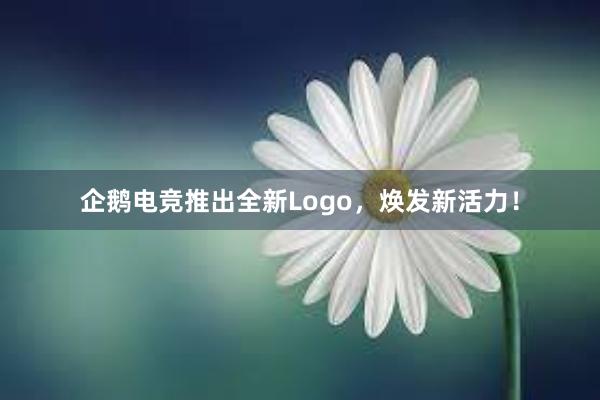 企鹅电竞推出全新Logo，焕发新活力！