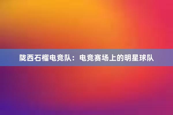 陇西石榴电竞队：电竞赛场上的明星球队