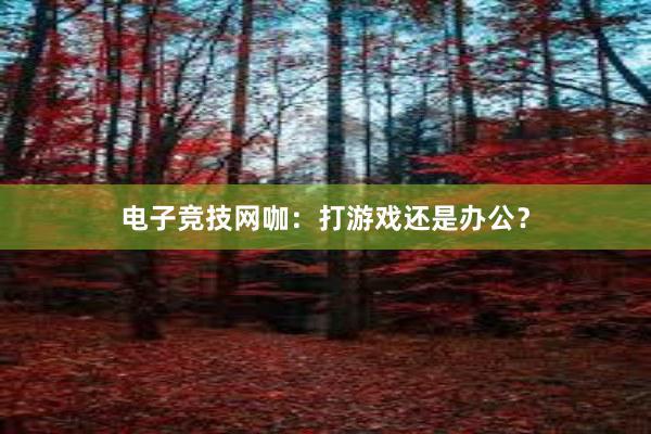 电子竞技网咖：打游戏还是办公？